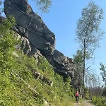 Bergrauschen-waldbude In Goslar-okertal Im Harz Inkl Waesche Lejlighed