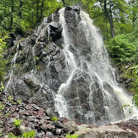 Bergrauschen-Waldbude In Goslar-Okertal Im Harz Inkl Waesche