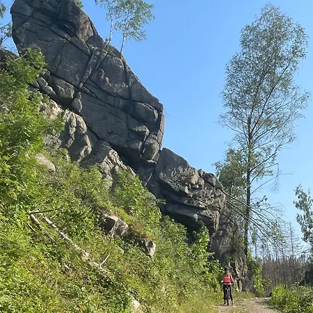 Apartmán Bergrauschen-waldbude In Goslar-okertal Im Harz Inkl Waesche