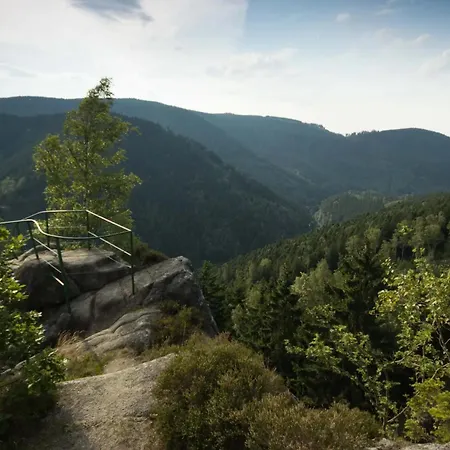 Bergrauschen-Waldbude In Goslar-Okertal Im Harz Inkl Waesche