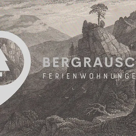 Lägenhet Bergrauschen-Waldbude In Goslar-Okertal Im Harz Inkl Waesche