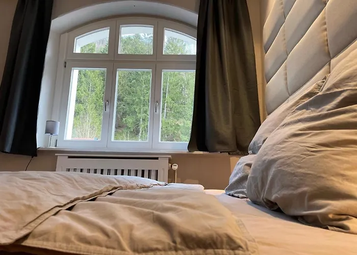 Bergrauschen-waldbude In Goslar-okertal Im Harz Inkl Waesche Lägenhet Goslar