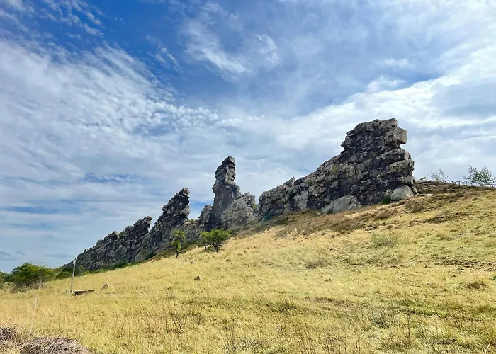 아파트 Bergrauschen-waldbude In Goslar-okertal Im Harz Inkl Waesche 고슬라르