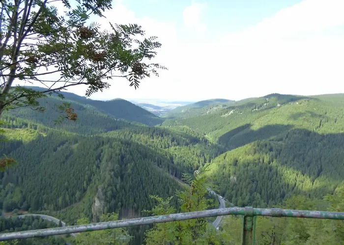 Bergrauschen-waldbude In Goslar-okertal Im Harz Inkl Waesche Lägenhet Goslar