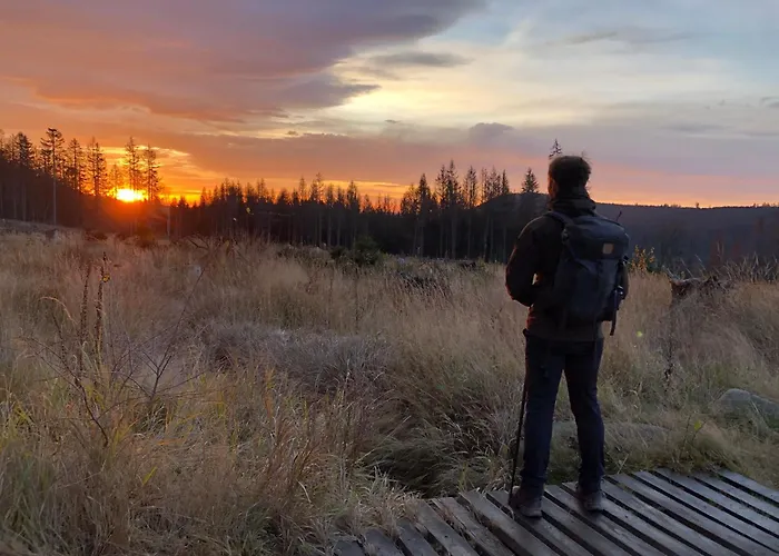 Bergrauschen-waldbude In Goslar-okertal Im Harz Inkl Waesche * Goslar