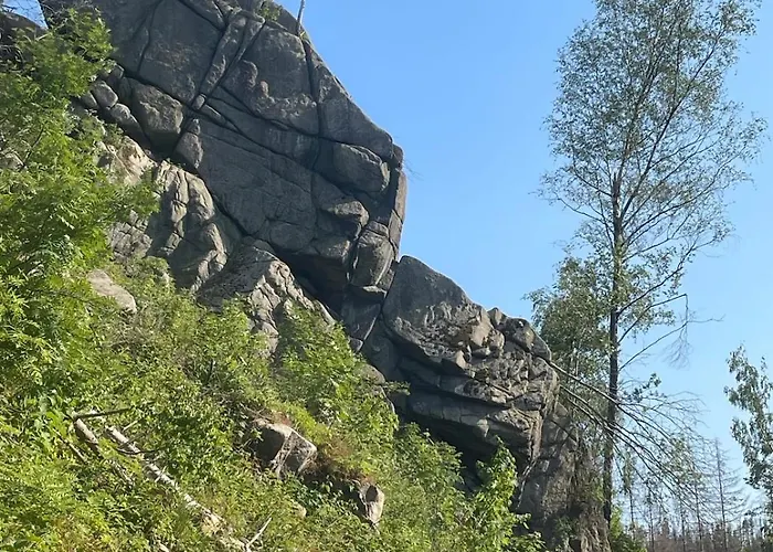 Bergrauschen-waldbude In Goslar-okertal Im Harz Inkl Waesche Lägenhet