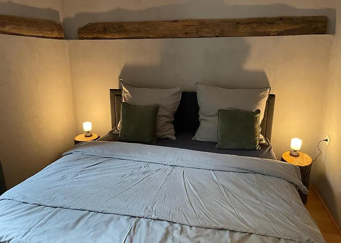 Bergrauschen-waldbude In Goslar-okertal Im Harz Inkl Waesche * 고슬라르