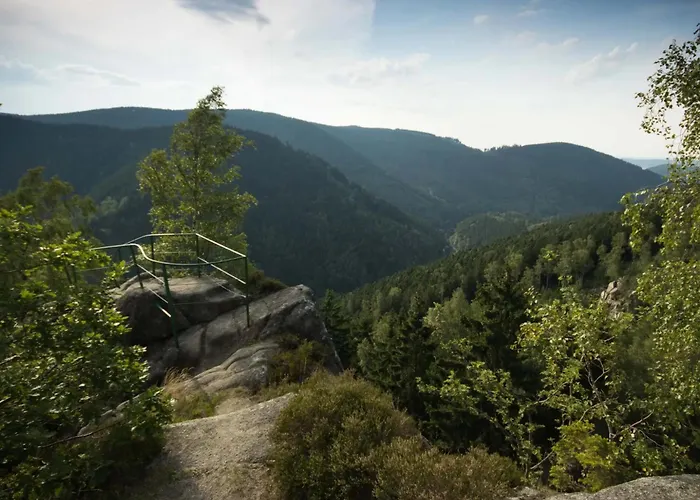 Bergrauschen-waldbude In Goslar-okertal Im Harz Inkl Waesche